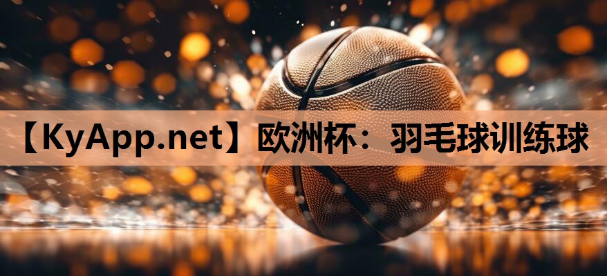 羽毛球训练球 羽毛球训练球