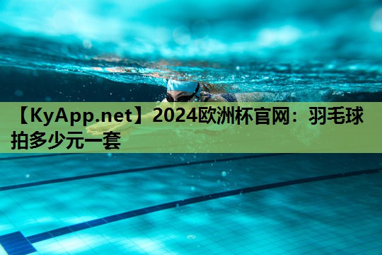 羽毛球拍多少元一套 羽毛球拍多少元一套