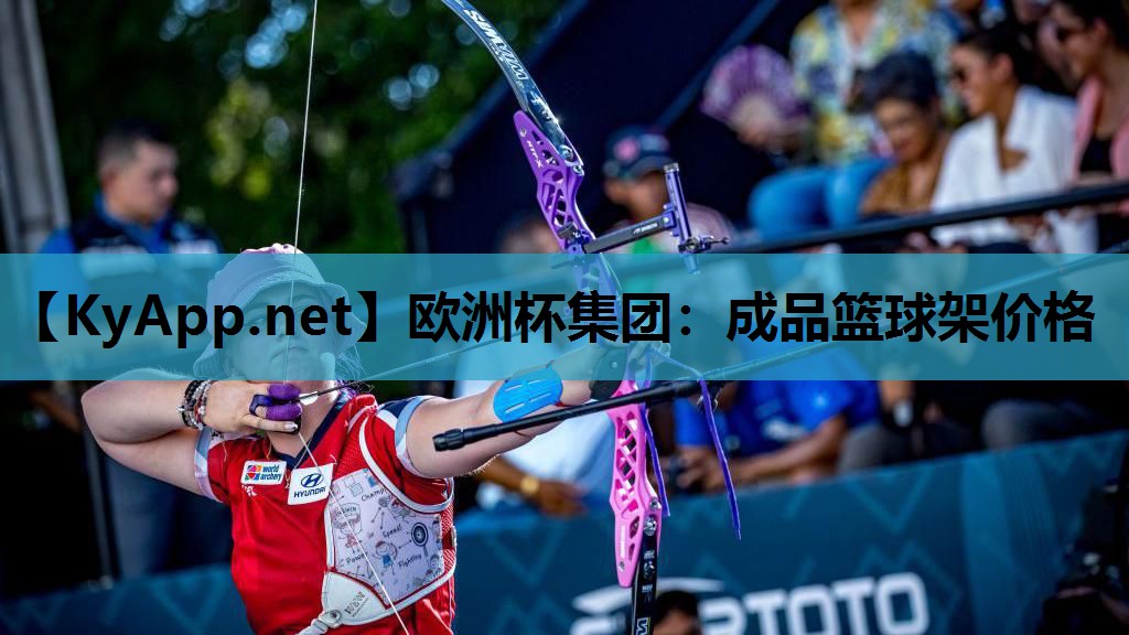 成品篮球架价格 成品篮球架价格