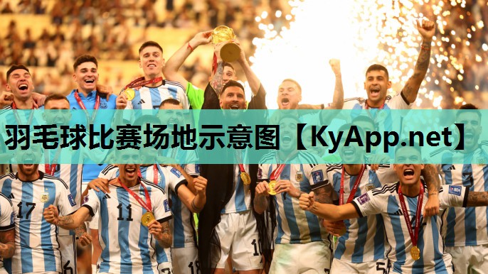 羽毛球比赛场地示意图 羽毛球比赛场地示意图