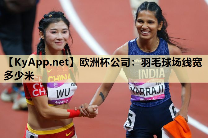 羽毛球场线宽多少米 羽毛球场线宽多少米