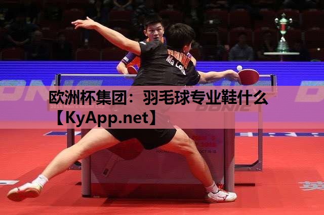 羽毛球专业鞋什么 羽毛球专业鞋什么