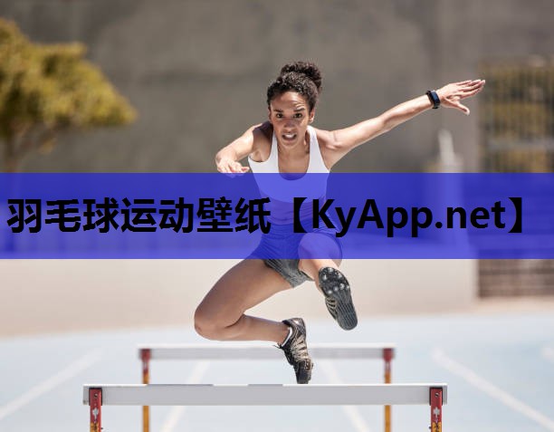 羽毛球运动壁纸 羽毛球运动壁纸