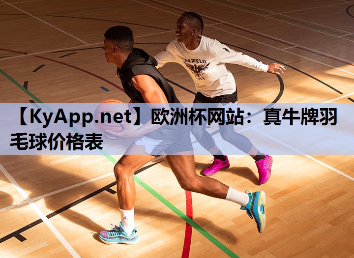 真牛牌羽毛球价格表 真牛牌羽毛球价格表